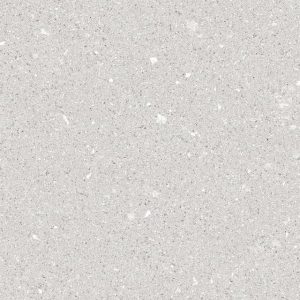 KR303061#