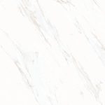 GT809862FR dSalvadori 80X80
