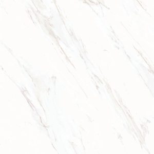 GT809862FR dSalvadori 80X80
